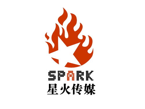 湖南環亞星火文化傳媒