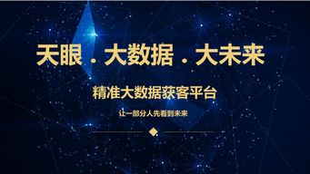 精準(zhǔn)營銷大數(shù)據(jù)PM 定義、效果評(píng)估與合作模式全解析